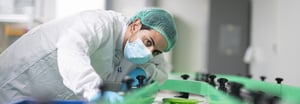 Life Sciences